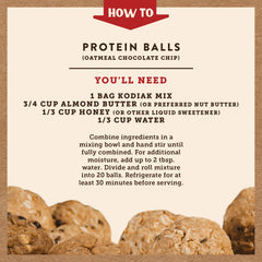 Oatmeal Chocolate Chip Protein Balls
