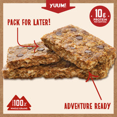 Chocolate Chip Crunchy Bars